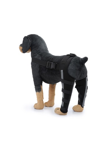 Homyl Köpekler Arka Bacaklar Dizlik Siyah-mavi-küçük