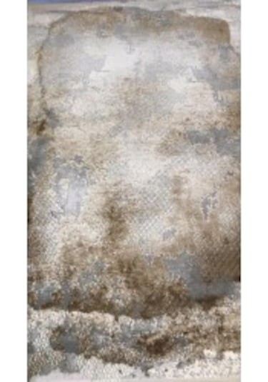 Padişah Halı Eternity Serisi 31968 080 Tüm Ebatlar