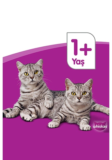 Whiskas Kümes Hayvanlı Yavru Güveç Klasik 4'lü 340 G