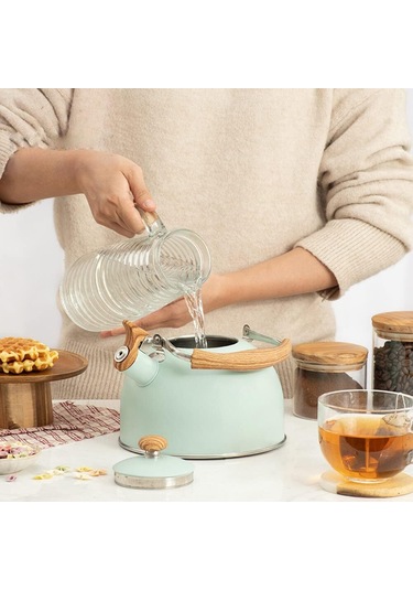 2.5l Islık Su Isıtıcısı Çay Isıtıcısı Paslanmaz Çelik Yeşil Su Isıtıcısı Su Kaynar