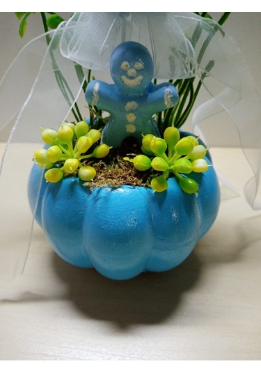 Neolife Yeni Doğan Erkek Bebek Hediyesi Doğum Tebrik Hediyesi Sevimli Tavşancık Detaylı Kabak Teraryum