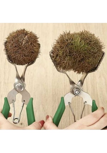 Ulzyvf Paslanmaz Çelik Kestane Aleti - Kestane Kabuğu Açma, Dayanıklı Ve Kullanışlı Diğer