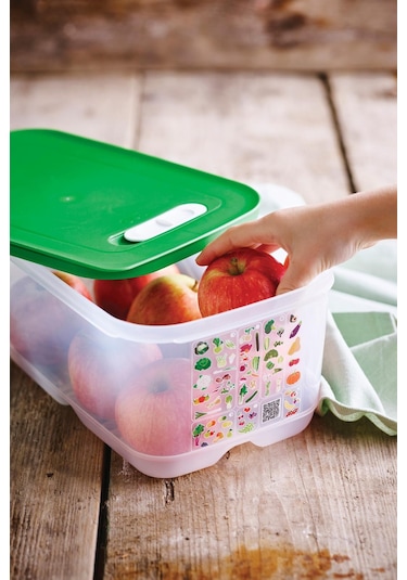 Tupperware Sera Serisi Yüksek Gövdeli Kap 4.4L Yeşil