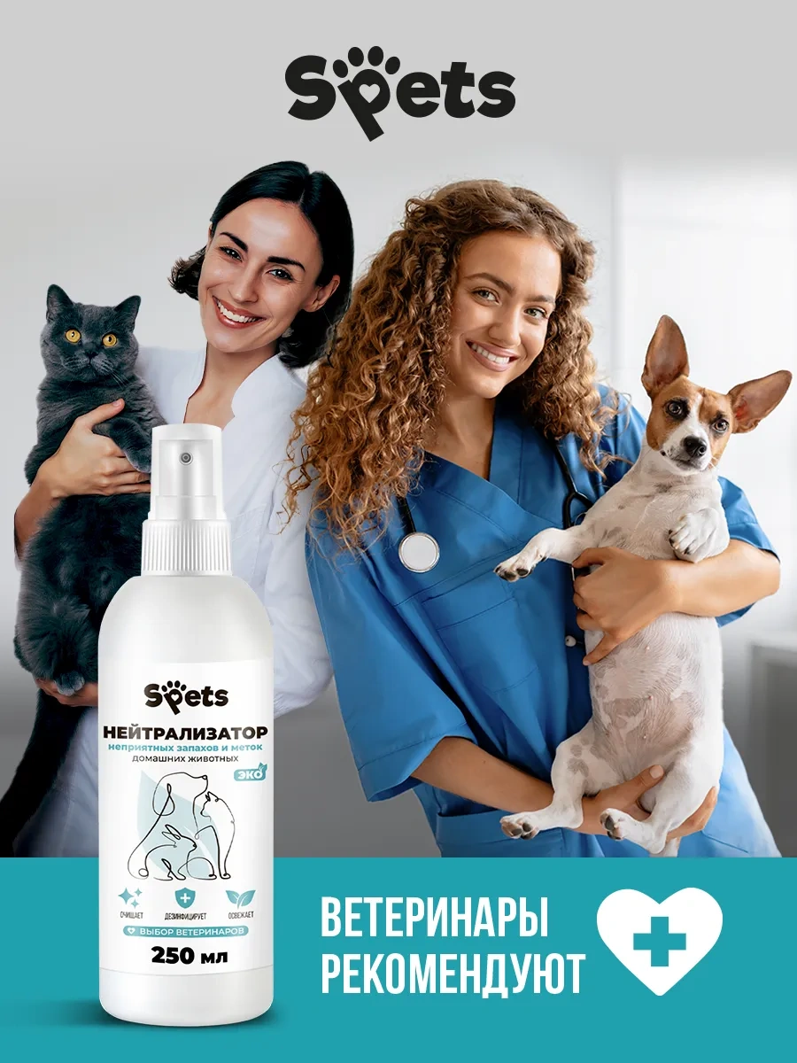 Spets Hayvan Kokusu Giderici, Kedi İdrarına Karşı Çözüm 259022384