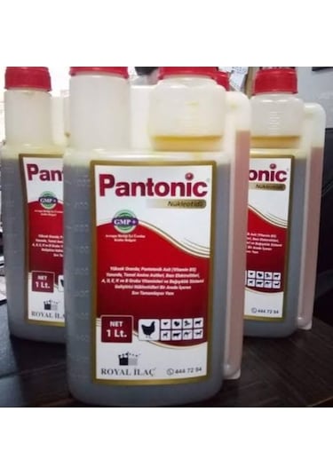 Pantoni̇c Vi̇tami̇n 1lt Faturali