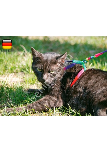 Kedi Bel Tasması 120 CM Kayışlı Gökkuşağı Desenli