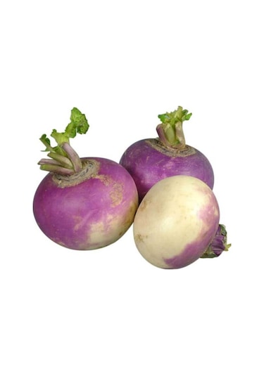 Eko Paket Şalgam Turpu Tohumu Turp Tohumu 150 Adet Tohum