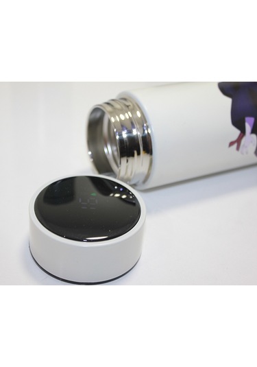 River World Seri A Termos Dijital Göstergeli 500 Ml'lik Anime Baskılı Renkli