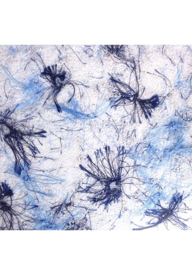 Ipek Sıva (116449204)