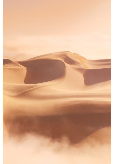 Estee Lauder Blushing Sands Kadın Parfüm EDP 100 ML Luxury Fragrance Koleksiyonu 887167571266