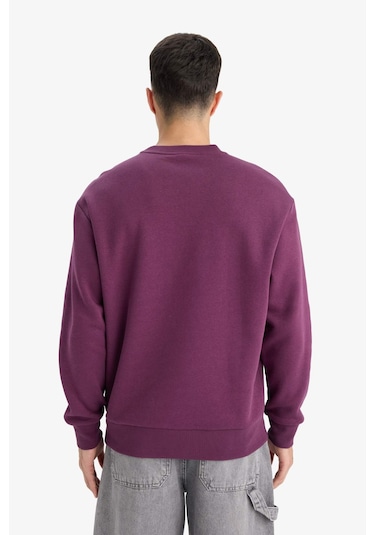 Defacto Relax Fit Bisiklet Yaka Kalın İçi Yumuşak Tüylü Basic Düz Sweatshirt T5139az25aupr79 Mor Defacto Relax Fit Bisiklet Yaka Kalın İçi Yumuşak Tüylü Basic Düz Sweatshirt T5139az25aupr79 Mor