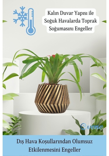 Saksı Çiçek Kaktüs Saksısı Lüx 13 Cm Mekanik Dişli Desen Saksı Çiçeklik - Altın Eskitme