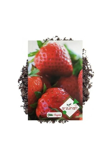 Arzuman Çilek Tohumu 100 Adet