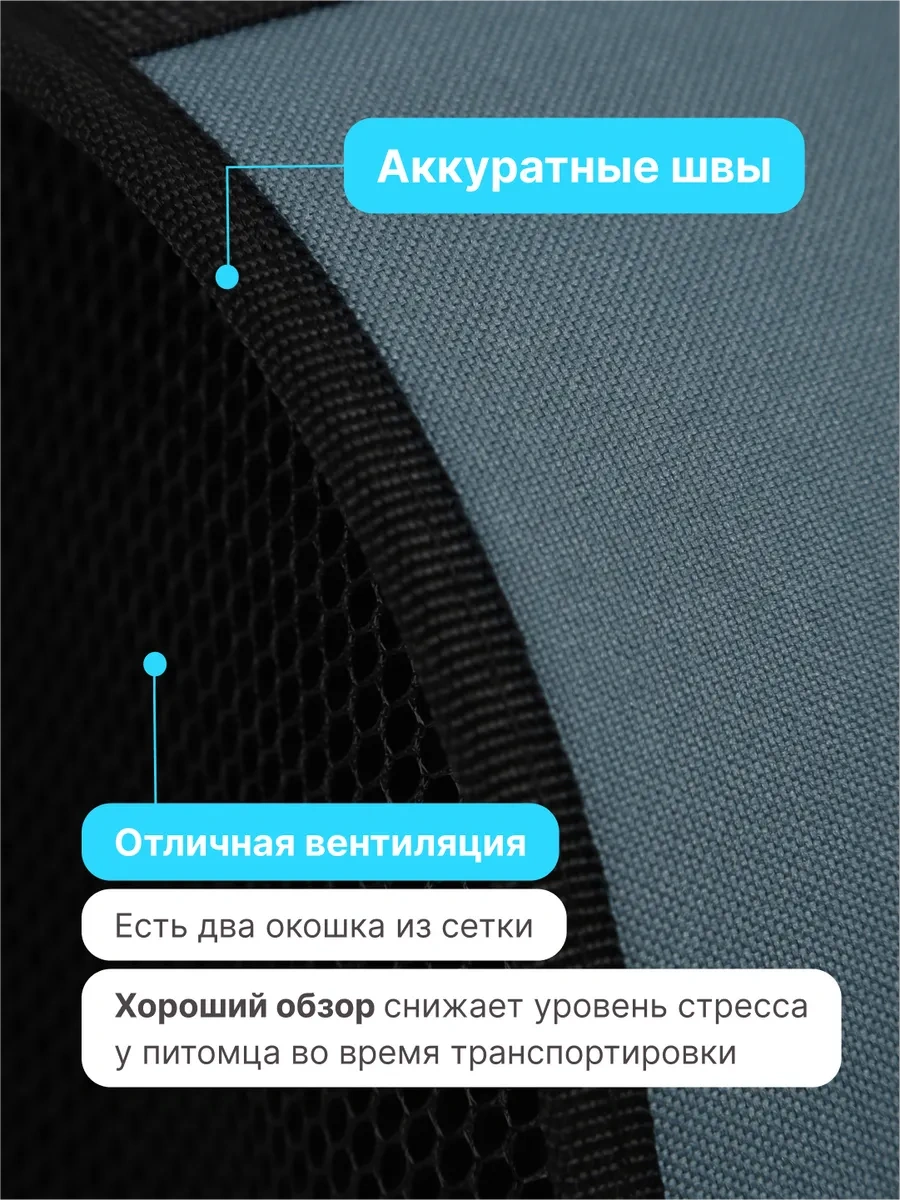 Rıch Breed Kedi Ve Köpekler İçin Taşıma Çantası, Saplı 420205168