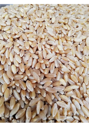 10kg Elenmis Kirmizi Buğday