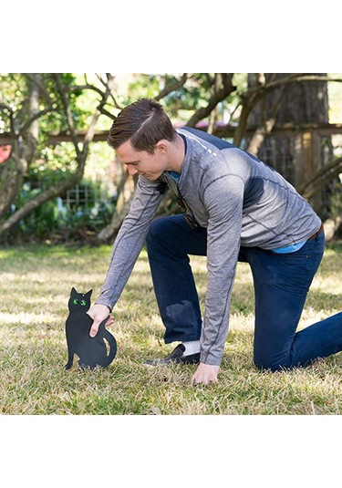 3'lü Kedi Figürü Zemin Dekorasyon Seti 2d Gerçekçi Yansıtıcı Gözlü Yavru Kedi