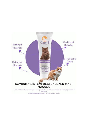 Amica Cat-e Immune Paste Savunma Malt Macunu