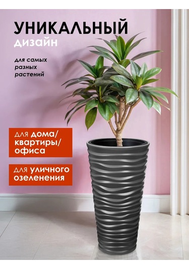 Konono Çiçekler Ve İç Mekan Bitkileri İçin 22l İç Saksılı Saksı 403199358