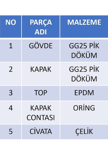 Dişli Çekvalf Toplu 2 Dn Dn50