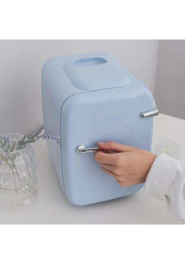 Flamingueo Jon Mini Taşınabilir Kozmetik Buzdolabı 4l