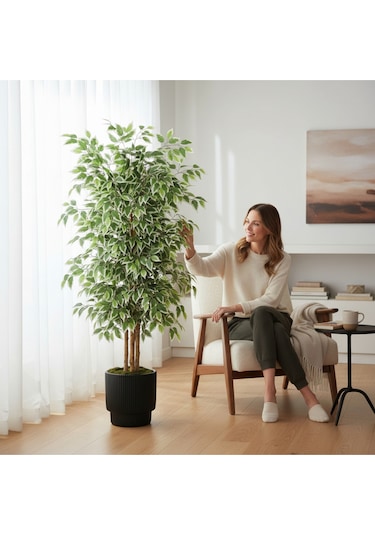 Yapay Ficus Ağaç 150 Cm Siyah Vega Saksı Yeşil