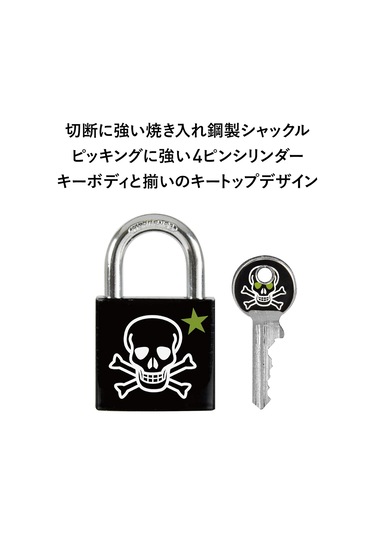 Master Lock 3430eurdskull Anahtar Asma Kilit, Kafatası Motifli, 5