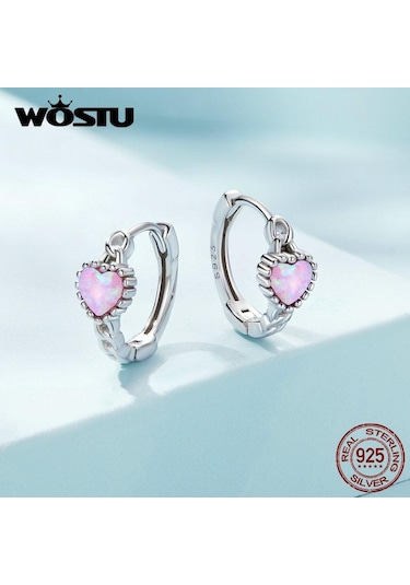 Wostu Otantik 925 Ayar Gümüş Narin Güzel Renkli Aşk Küpe Kadınlar Takı Hediye İçin Diğer