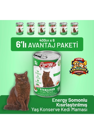 Energy Somonlu Kısırlaştırılmış Yaş Kedi Maması 400 G - 6 Adet