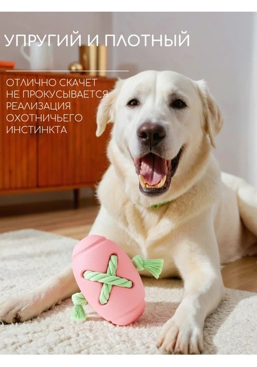 Pet's Boutique Köpekler İçin Oyuncağı Kordonlu Toplar Koklama Oyuncağı 440115899