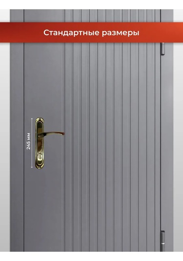 Vettore Altın Plakalı Kapı Kolu 218470057