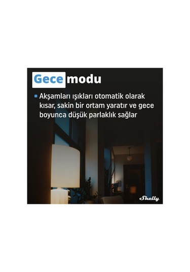 Shelly Plus Rgbw Pm Akıllı Led Renk Ve Parlaklık Kontrol Rölesi