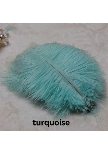 Gatherco 20-25 Cm Devekuşu Tüyleri Sahne Performansları Tüyleri El Yapımı Kendin Yap Takı Süslemeleri Devekuşu Tüyleri Gül Kırmızısı