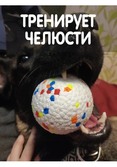 Pozitiffcik Büyük Ve Orta Boy Köpekler İçin Oyuncaklar, Yavru Köpekler İçin Toplar 151330020