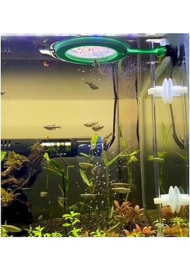 Liya Akvaryum Balık Yemleme Halkası 7.5 CM Mavi