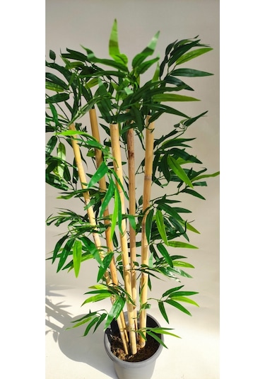 Rüzgar Yapay Çiçekçilik 110 Cm 5 Li Yuvarlak Bambu Yeşil