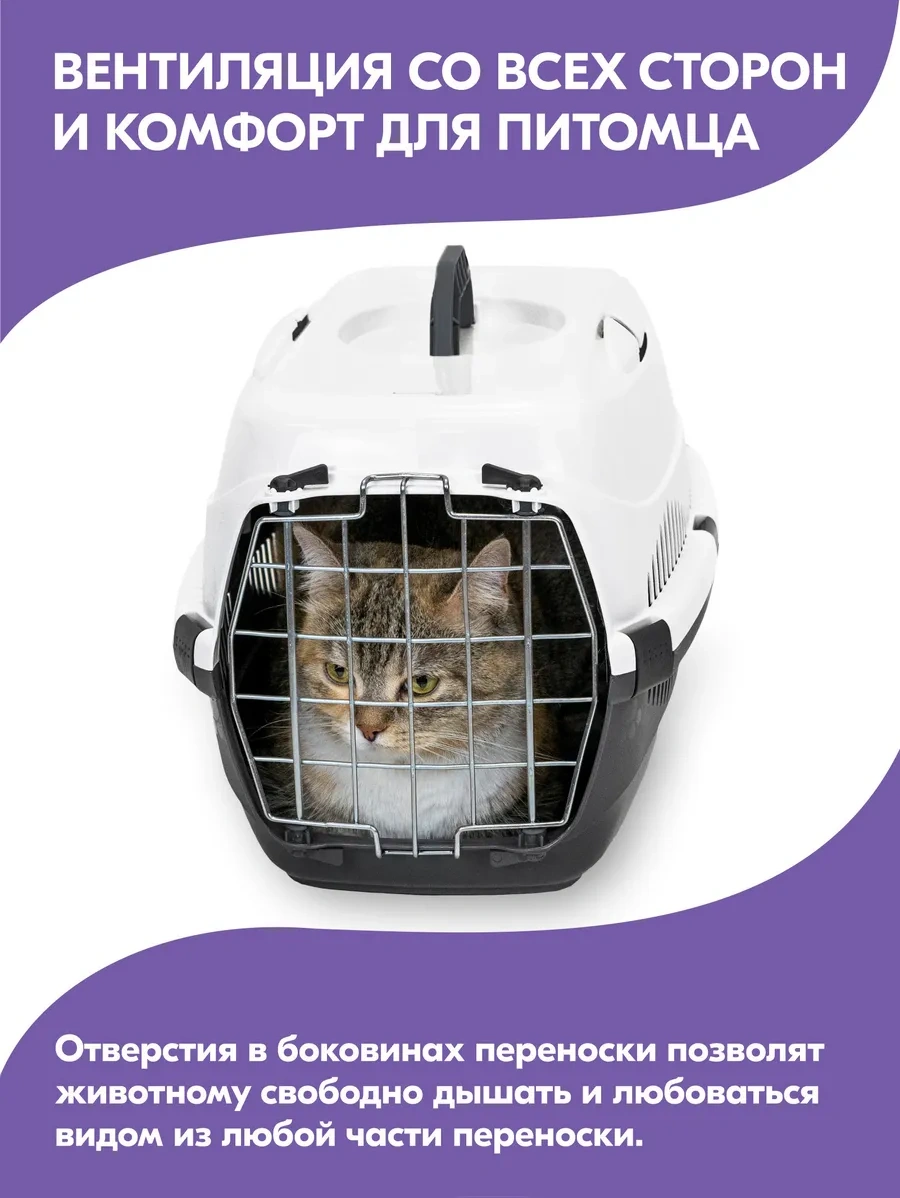 Pettails Plastik Kedi Taşıma Kabı, Evcil Hayvanlar İçin Metal Kapılı 27565277