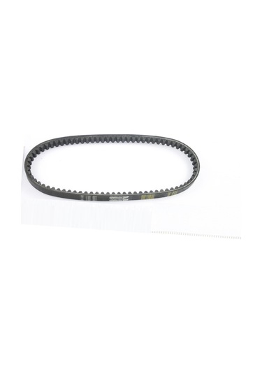 Mondial 100Nt-Rt Kayış 75X20.1X30