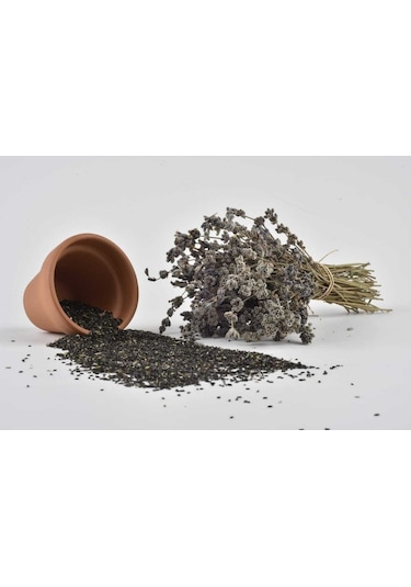 Lavanta Lavandula Angustifolia 20 Adet Tohum