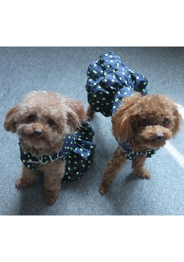 Best Golden Monkey Köpekler İçin "katrene" Denim Kırmızı-yeşil Elbise 401106531