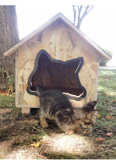 Suya Dayanıklı Kaliteli Ahşap Kedi Kulubesi