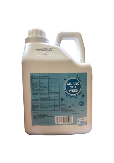 Milano Sea Weed 5 Lt Deniz Yosunu 5 Lt