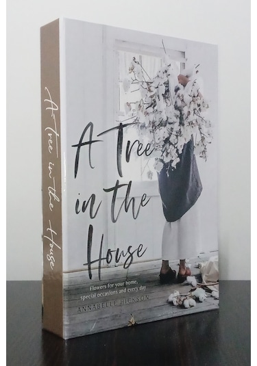 2'li Dekoratif Kitap Kutu Görünümlü A Three İn The House & The New Bohemians Temalı