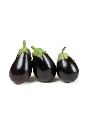 Top Patlıcan Tohumu 10 GR Topan Çeşidi