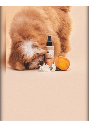 Lıssılandıa Evcil Hayvanlar İçin Parfüm. Bal Şeftalisi 419919633