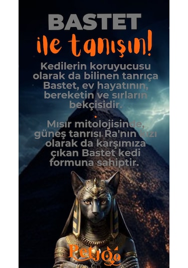 Petjoo 1.Bastet Turuncu-Gri Qr'lı Kedi Künyesi