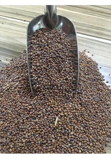 İri Turp Tohumu 1 KG