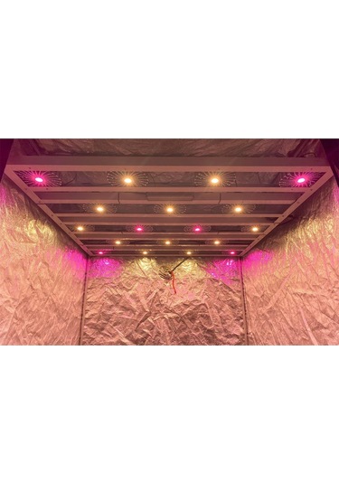 Citi 18 Pro 480w Full Spectrum Grow Led Lamba