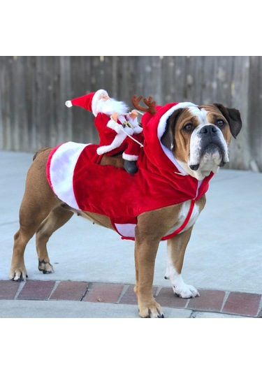Noel Noel Baba Köpek Kostümü Evcil Hayvan Giysileri Noel Baba Binicilik Kıyafeti Parti Evcil Hayvan