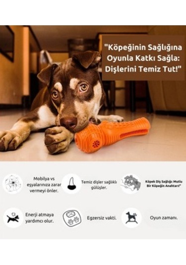 Raikou Köpek Isırmalı Oyuncak Diş Temizleyen Köpek Oyuncağı