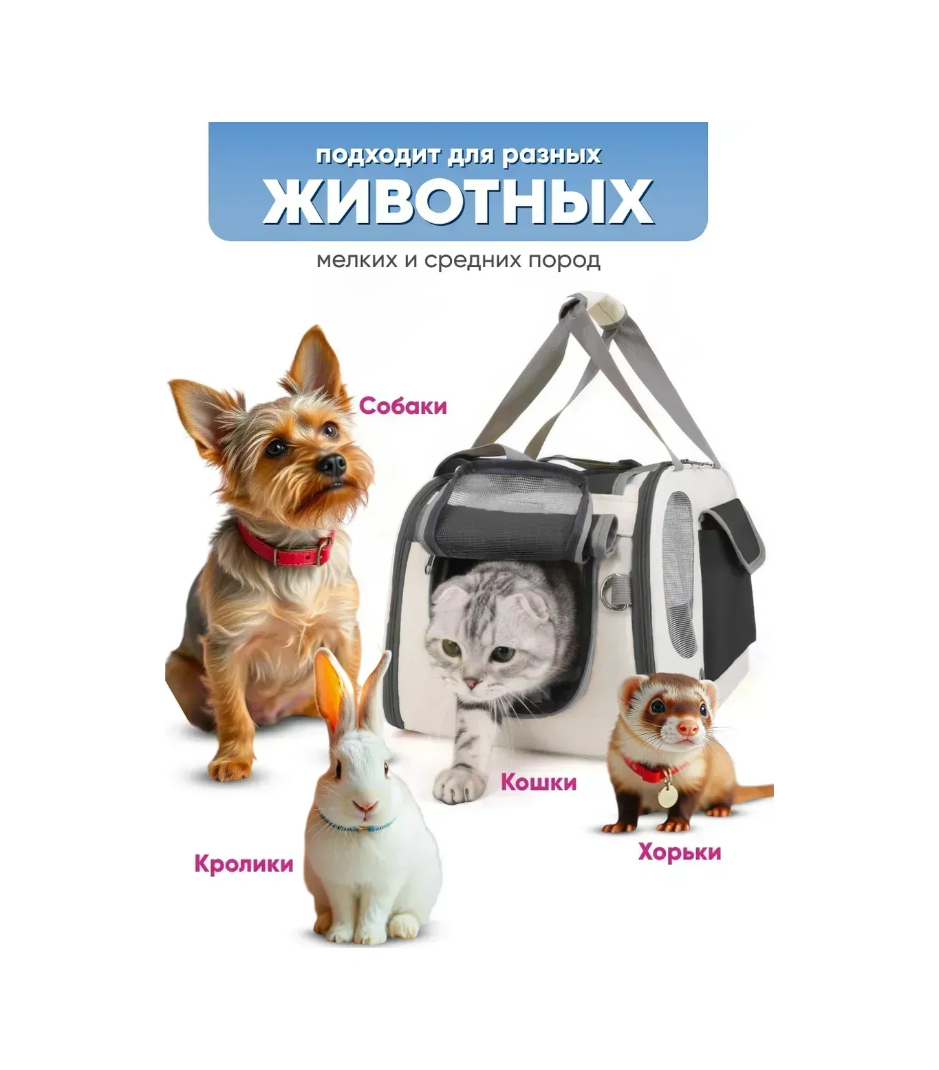 Komfort Pitomca Kedi Ve Küçük Irk Köpekler İçin Taşıma Çantası Hayvan Çantası 227699469